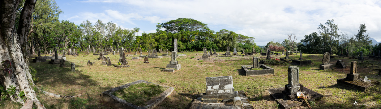 Cemetery Lawaii
