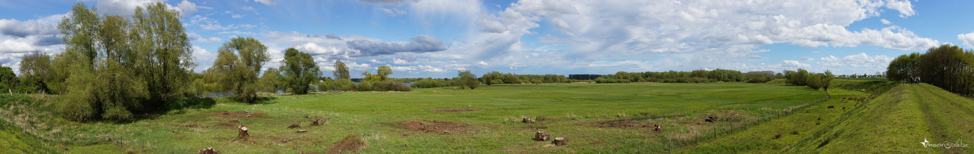 Schulensmeer field view