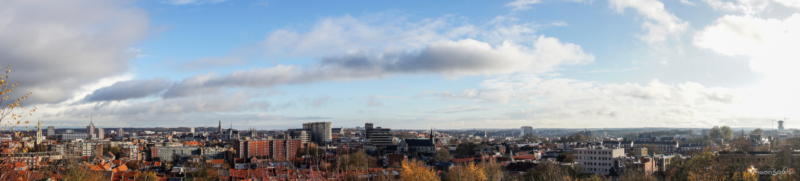 Leuven Skyline
